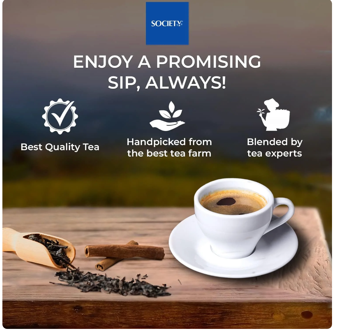 Society Masala Tea with Ginger, Clove Bud, Lemongrass, Black Pepper & Cardamom, 100% Natural Spices, Masala Spiced Chai, Traditional Masala Tea, Strong & Robust Blend, No Gluten, 225 grams
