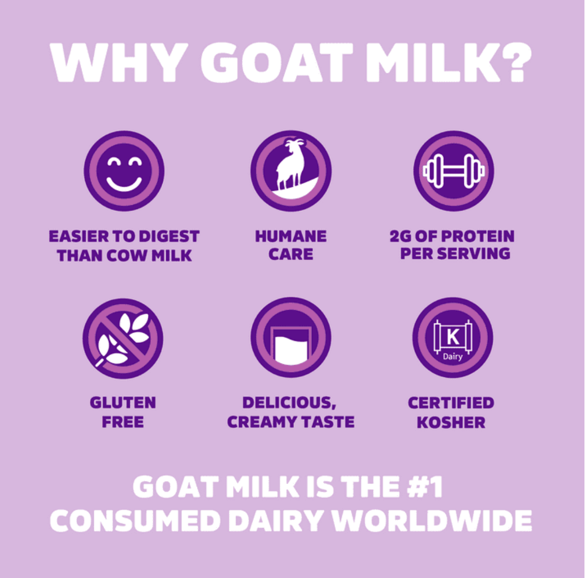 Meyenberg Evaporated Vitamin D Goat Milk Unsweetened, 12 fl oz - Expires 08/09/2028