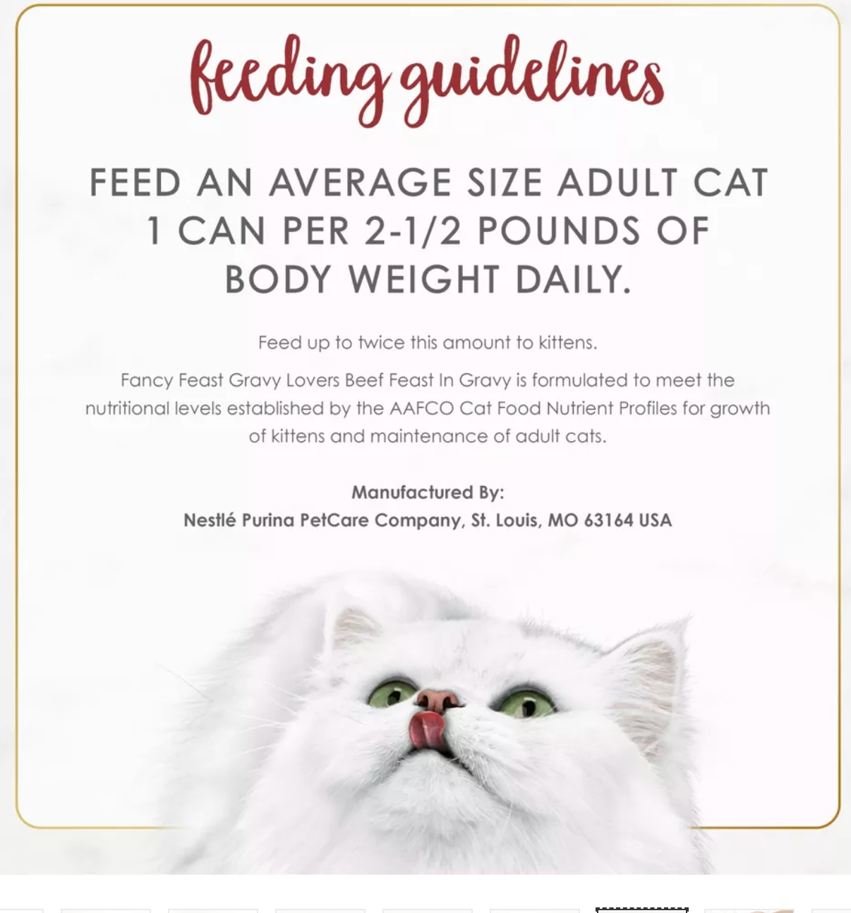 Purina Fancy Feast Gravy Lovers Wet Cat Food Can - 3oz - Beef Feast Regular