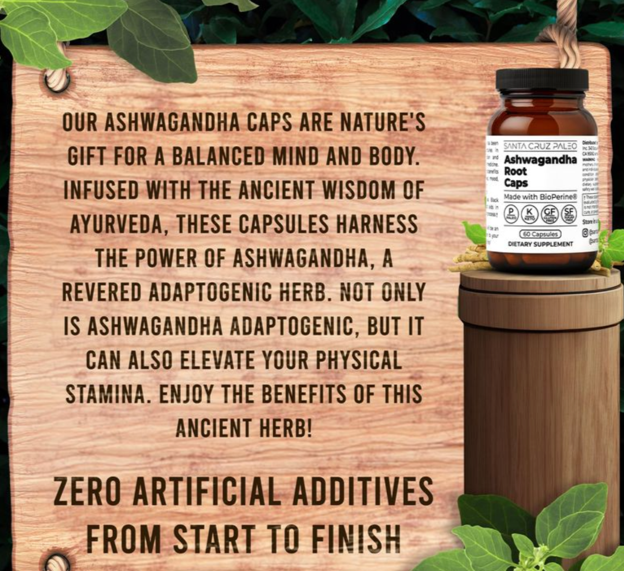 Santa Cruz Paleo Ashwagandha Capsules, 600mg Ashwagandha Root per Capsule, Gluten Free, Keto, Sugar Free, Paleo, Supports Energy, Focus, and Relaxation, BioPerine for Fast Absorption, 60 Capsules - expires 03/2028