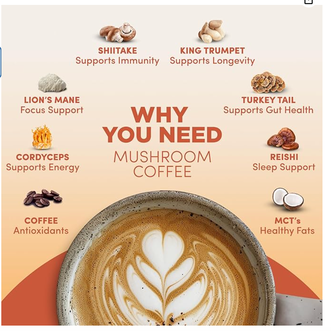 RYZE SUPERFOODS Mushroom Coffee USDA Organic with 6 Adaptogenic Mushrooms and MCT Oil, USA Grown Instant Coffee for Better Energy, Focus, Digestion, Immunity with Lions Mane & Turkey Tail, 30 servings - Expires 08/2026